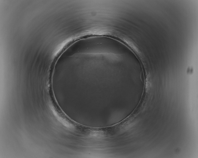 X0000112520438200908241448