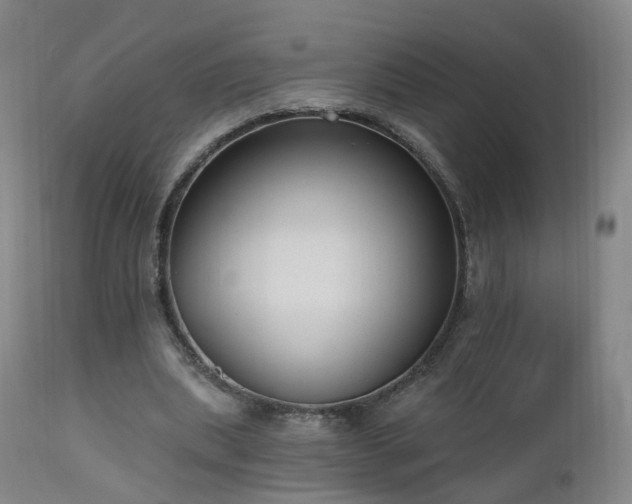 X0000112520439200908241448