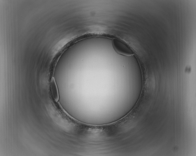 X0000112520440200908241448
