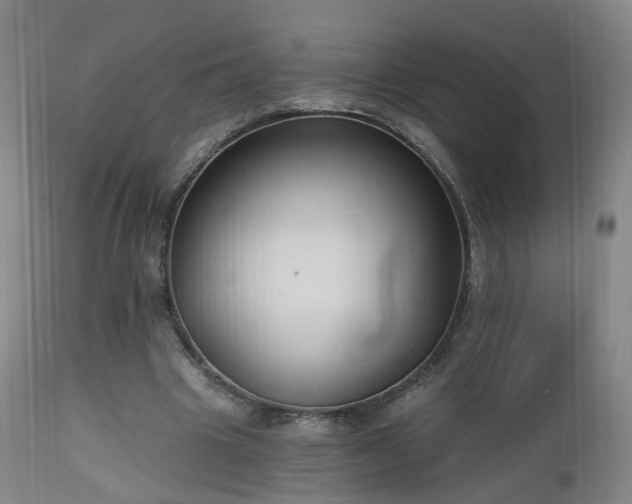 X0000112520441200908241448
