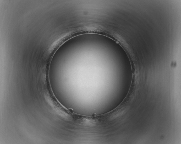 X0000112520442200908241448