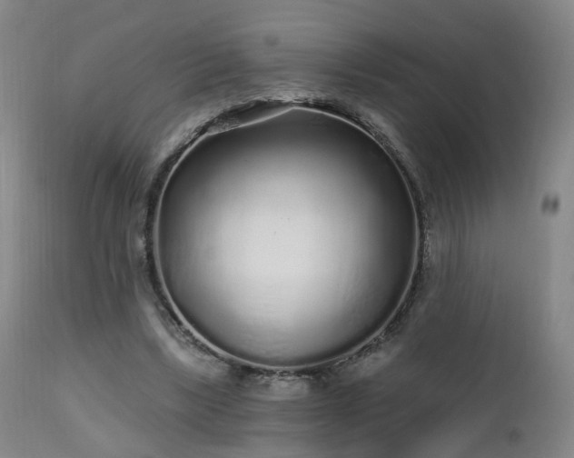 X0000112520443200908241448