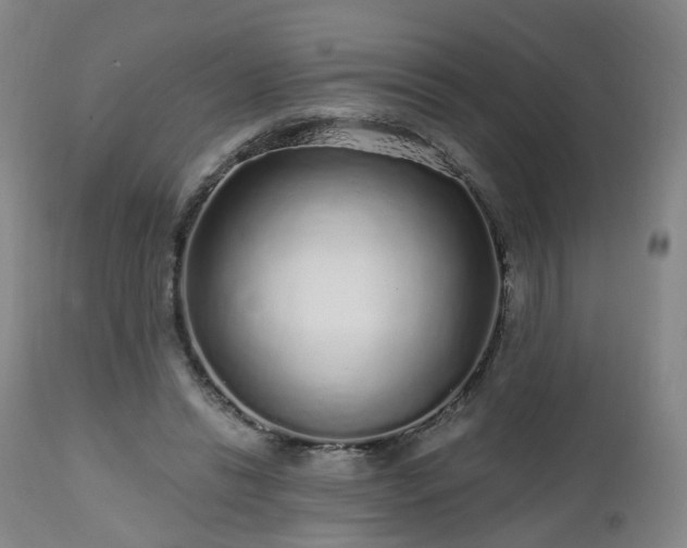X0000112520446200908241448