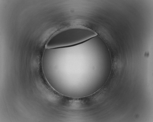 X0000112520448200908241448