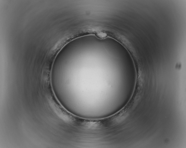 X0000112520449200908241448