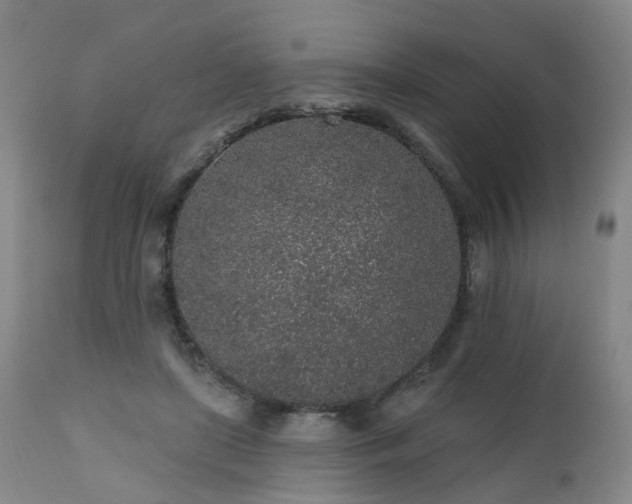 X0000112520451200908241449