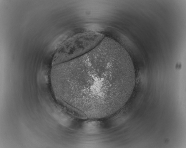 X0000112520452200908241449