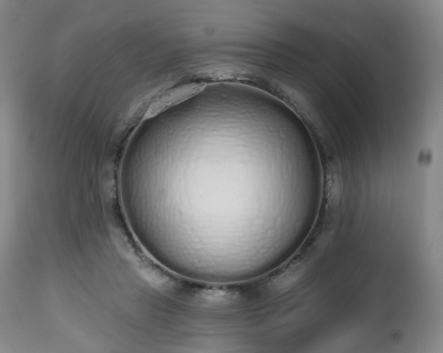 X0000112520453200908241449