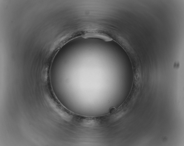 X0000112520454200908241449