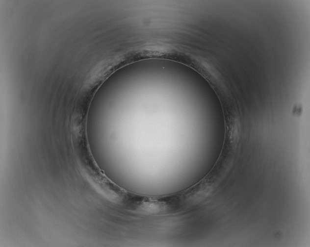 X0000112520455200908241449