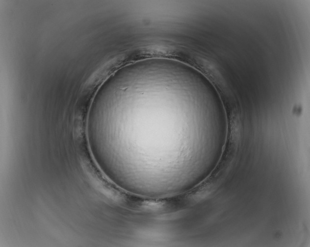 X0000112520457200908241449