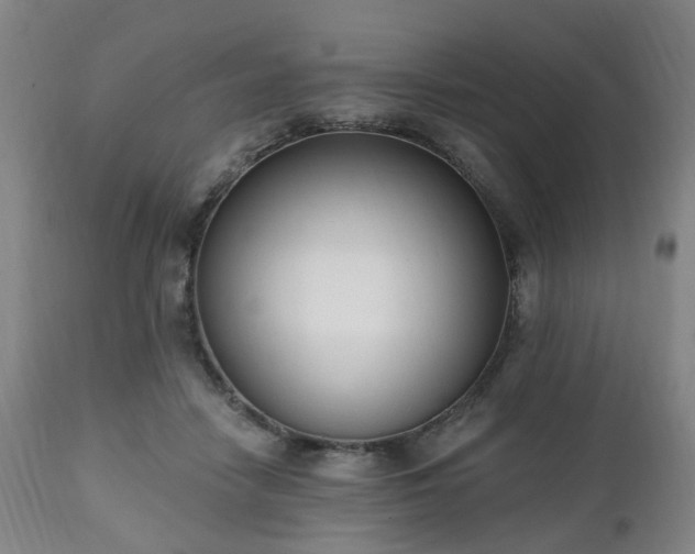 X0000112520458200908241449