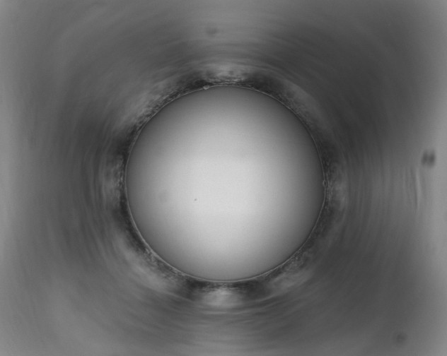 X0000112520460200908241449