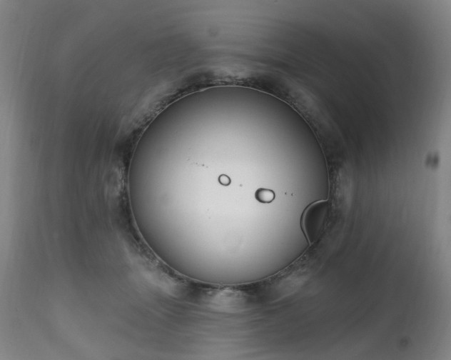 X0000112520463200908241449