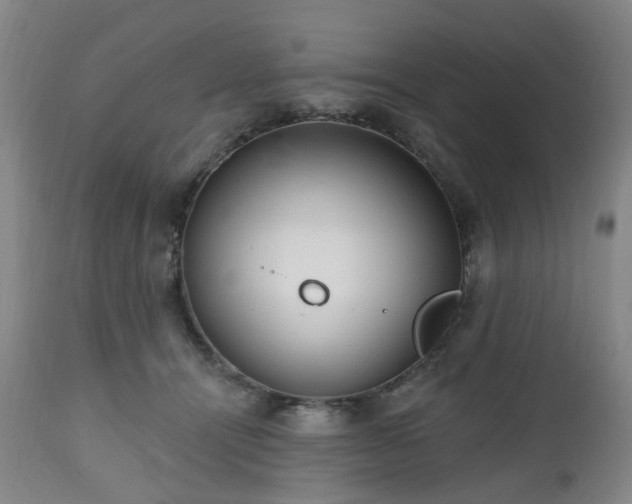X0000112520464200908241449