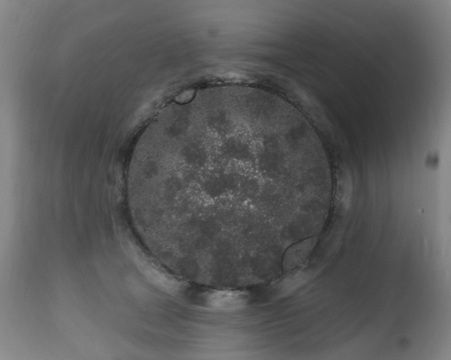 X0000112520465200908241449