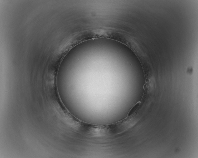 X0000112520466200908241449