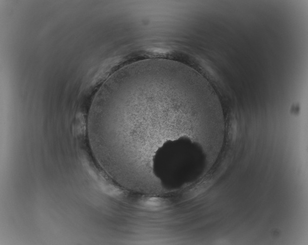 X0000112520467200908241449