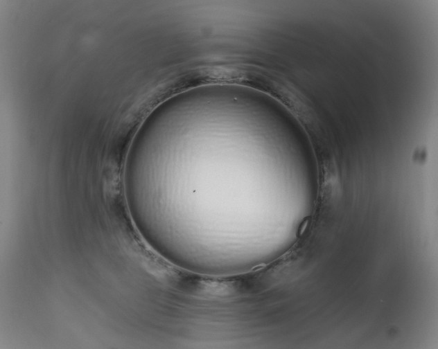 X0000112520469200908241449