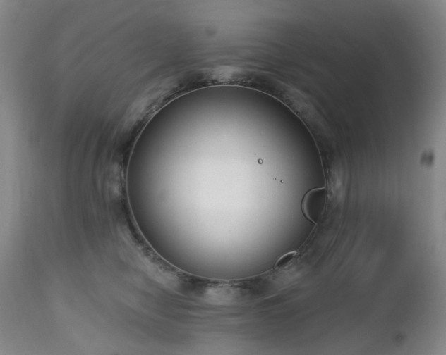 X0000112520470200908241449
