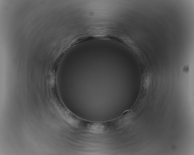 X0000112520471200908241449