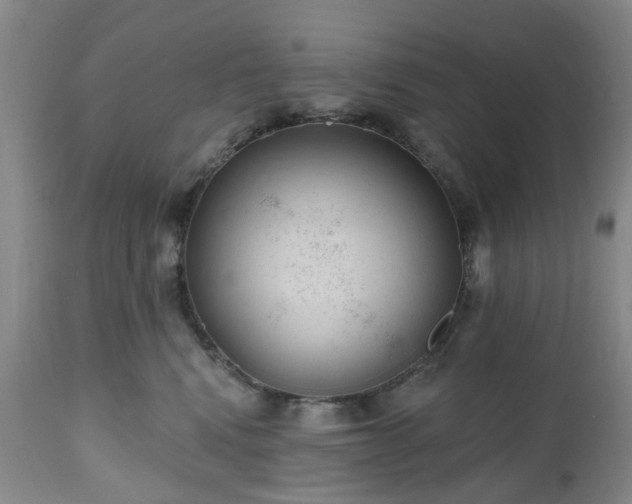 X0000112520472200908241449