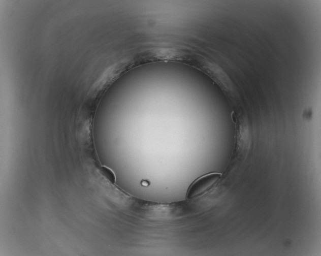 X0000112520473200908241449
