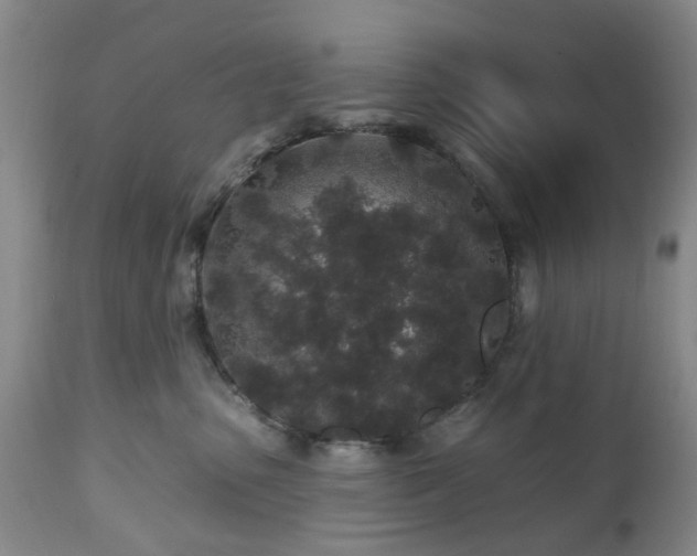 X0000112520475200908241449