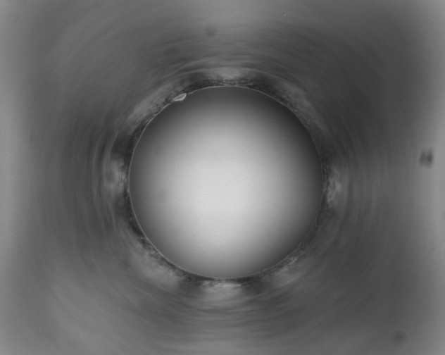 X0000112520476200908241449