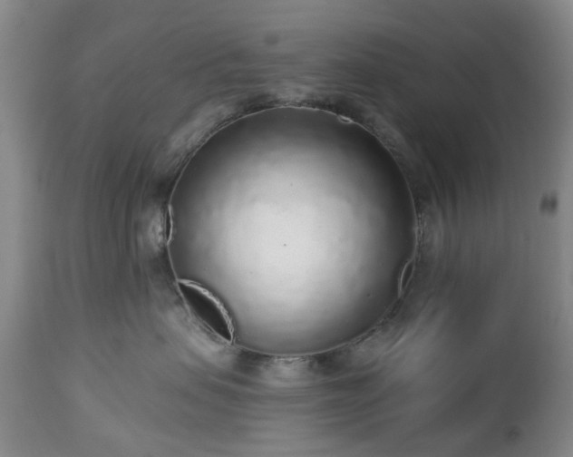 X0000112520479200908241449