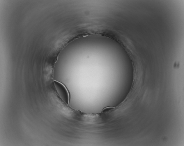 X0000112520480200908241449