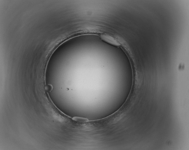 X0000112520481200908241448