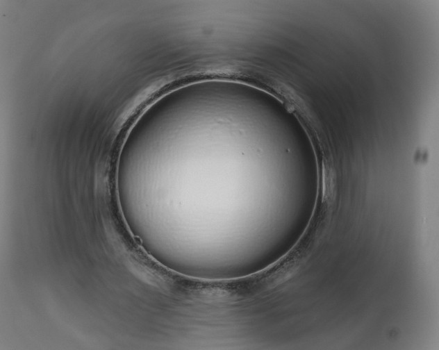 X0000112520483200908241448