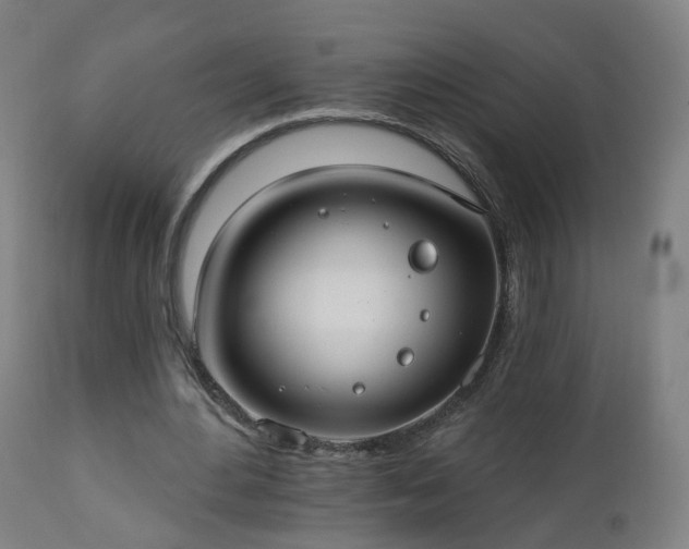 X0000112520484200908241448