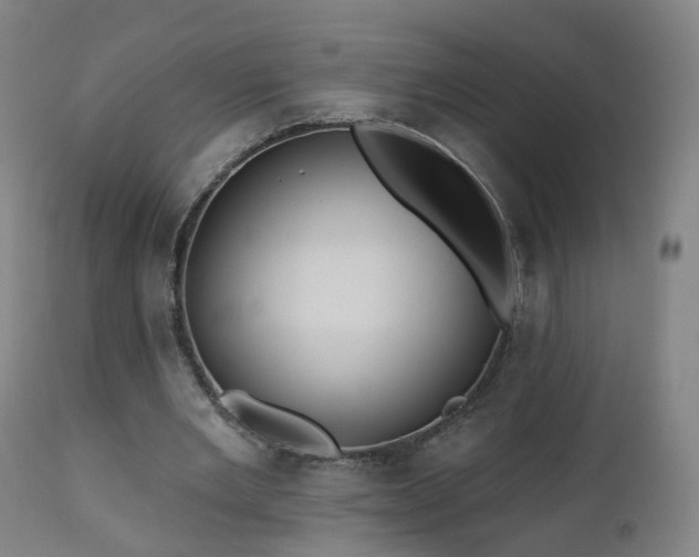 X0000112520485200908241448