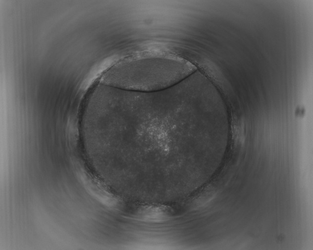X0000112520488200908241448