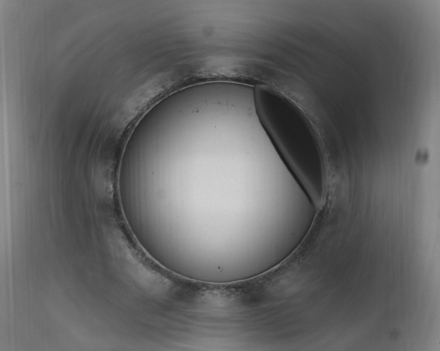 X0000112520489200908241448