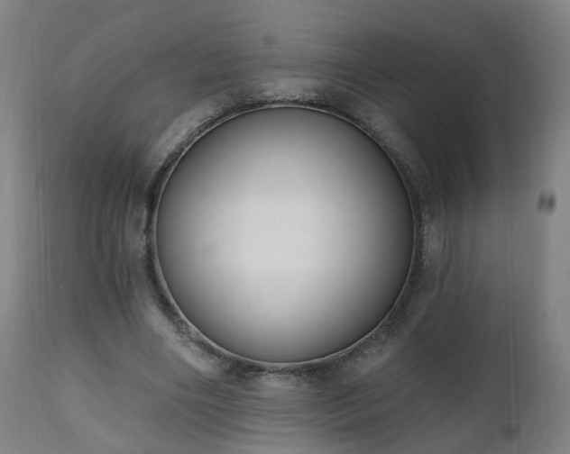 X0000112520490200908241448