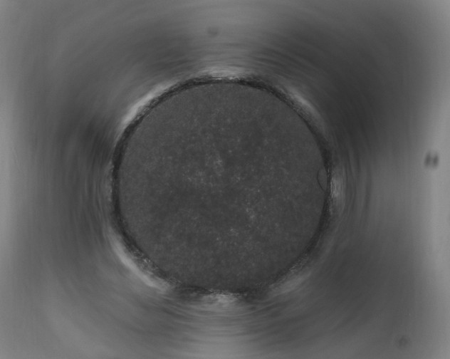 X0000112520492200908241448