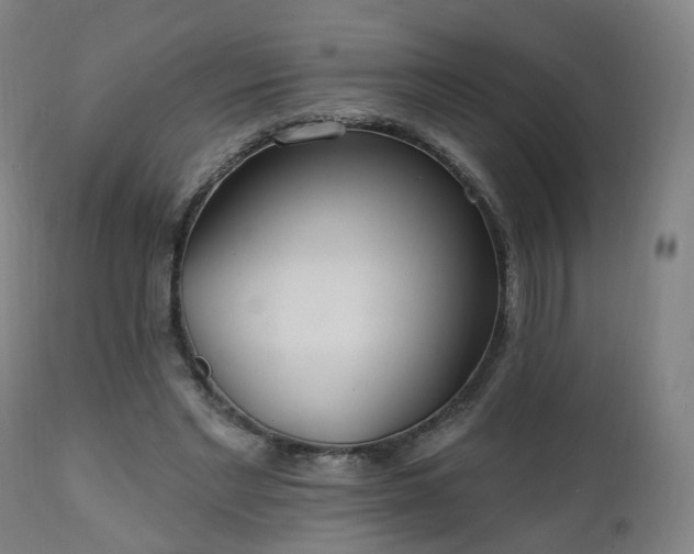X0000112520493200908241448