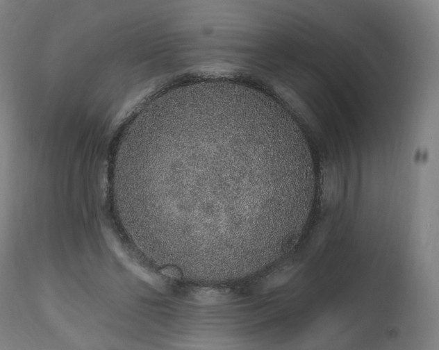 X0000112520494200908241448
