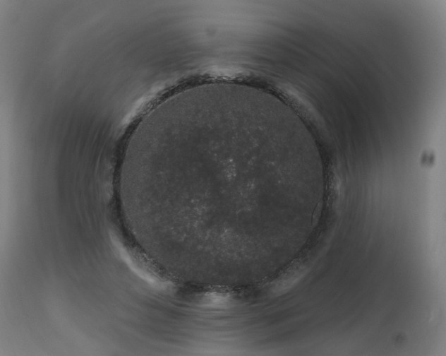 X0000112520496200908241448