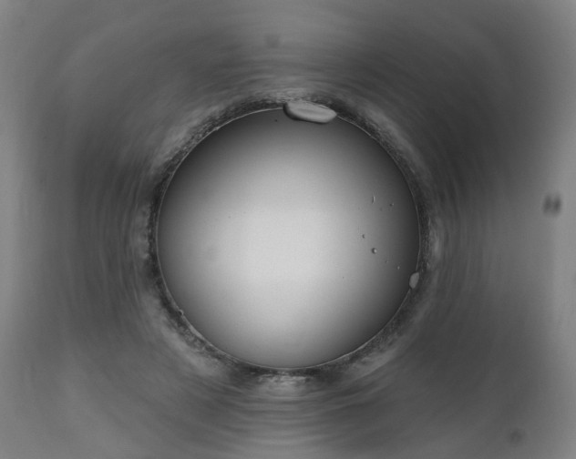X0000112520497200908241448