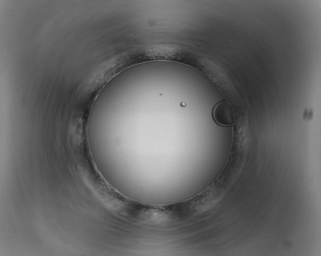 X0000112520498200908241448