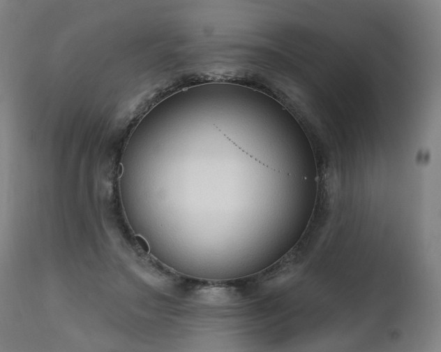 X0000112520499200908241448