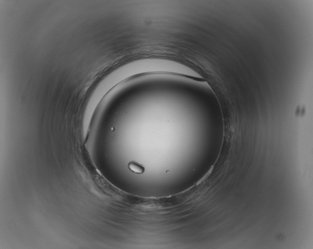 X0000112520500200908241448