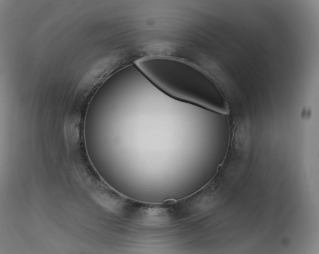 X0000112520501200908241448