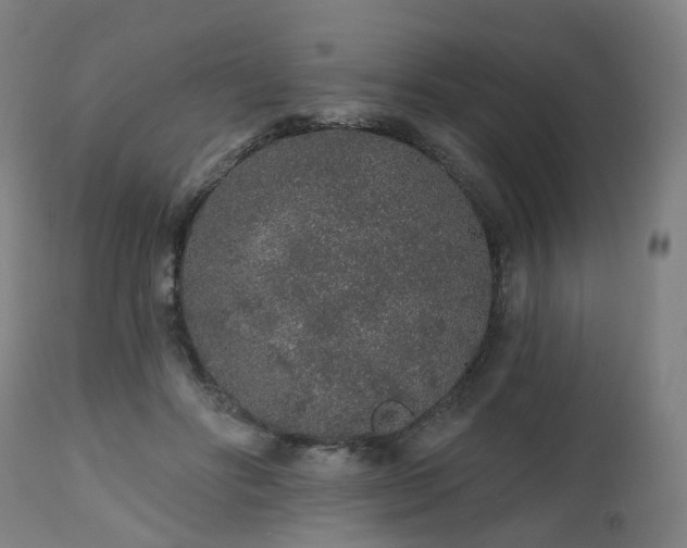 X0000112520502200908241448