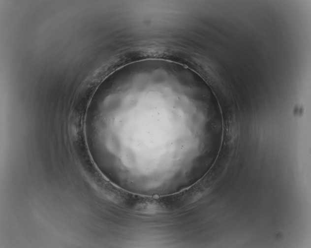 X0000112520503200908241448