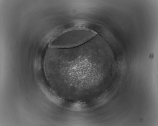 X0000112520504200908241448